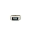 1.18 Carat Tourmaline Signet Ring